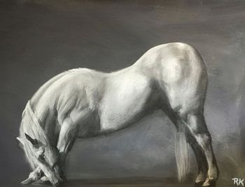 Horse portrait