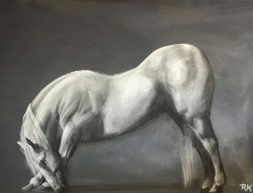 White horse