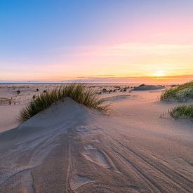 Maasvlakte met helmgras en zonsondergang van Björn van den Berg