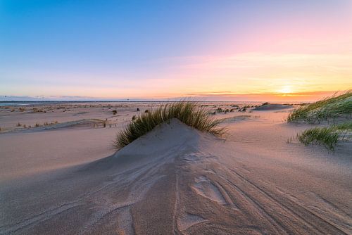 Maasvlakte met helmgras en zonsondergang van Björn van den Berg