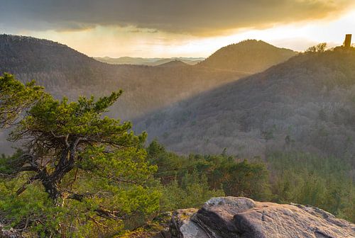 The Palatinate Forest from the Slevogtfelsen