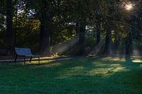 Bench in the park during the morning