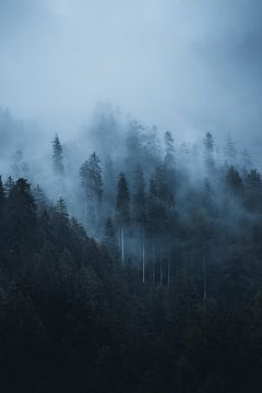 Nebel-Dolomiten von Dylan Shu