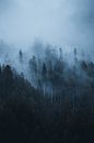 Nebel-Dolomiten von Dylan Shu Miniaturansicht