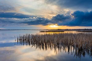 Sonnenaufgang an der Boschwijde