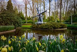 Le parc Keukenhof par une belle journée de printemps