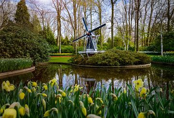 Keukenhof park on a beautiful spring day by Chihong