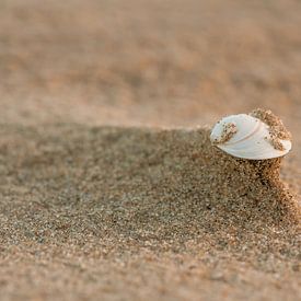 Strand von Bas Van Ooijen