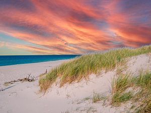 Zonsondergang over de Noordzee met duinen van Animaflora PicsStock