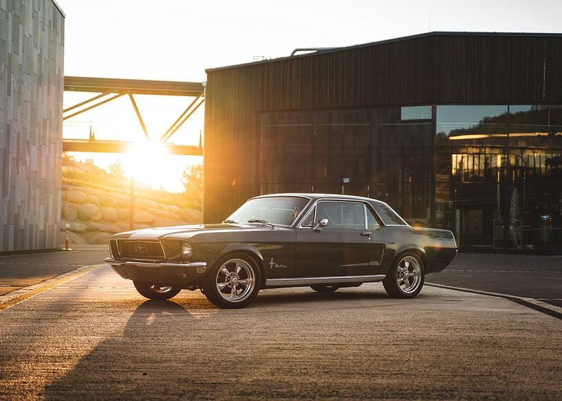 Ford Mustang von Christian Marold