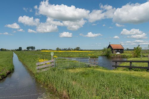 Wandelpad langs poldersloot bij Langerak