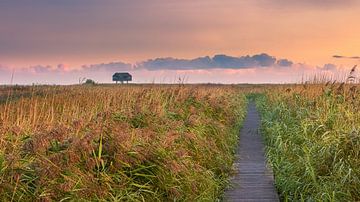 Zonsopkomst bij de Kiekkaaste van Henk Meijer Photography