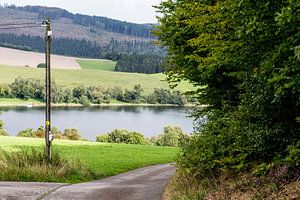 Diemelsee vanaf de weg gezien, Duitsland