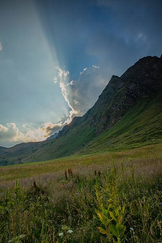 Alpenbergmeer Lago Cadagno in Val Piora Ticino Zwitserland