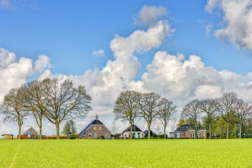Paysage néerlandais par Richard van der Woude
