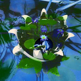 Blue Garden sur True Color Stories