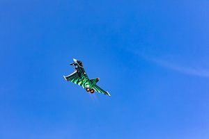 Eurofighter Ghost Tiger