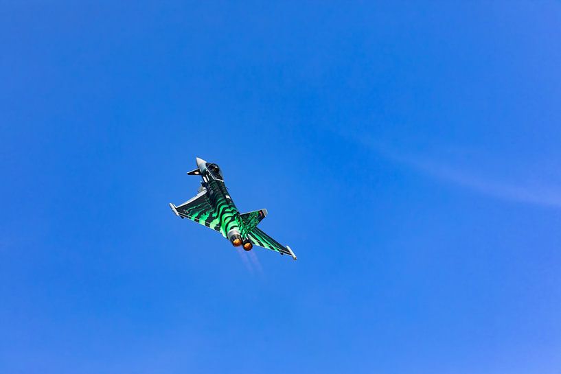 Eurofighter Ghost Tiger von Tilo Grellmann