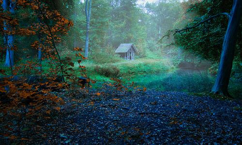 The pheasantry at elswout by peterheinspictures