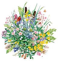 Blumenstrauß aus Wattenpflanzen von Eke van Mansvelt Aquarell