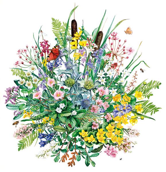 Blumenstrauß aus Wattenpflanzen von Eke van Mansvelt Aquarell von Studio Eke van Mansvelt