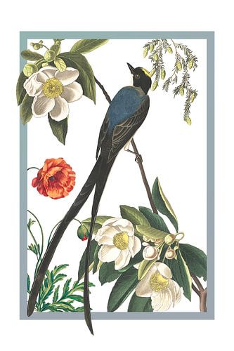 Vliegenvanger vogel in lijst