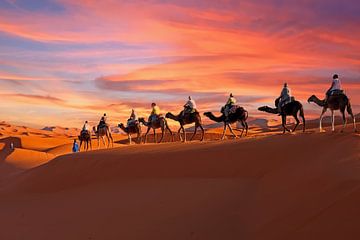 Kamelen karavaan door de Sahara woestijn met zonsondergang in Marokko van Eye on You