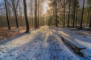 Apeldoorn in de sneeuw 