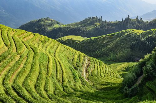 Longji, China - II