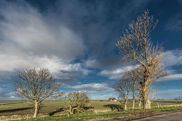 De Friese Bildtdijk met en enekel boerderij en wolkenlucht