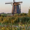 A mill in the reeds. by whmpictures .com
