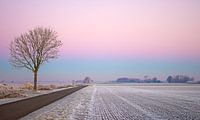 Winter landscape