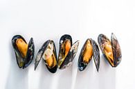Row of cooked blue mussels with shadows on a white background, copy space, selected focus by Maren Winter thumbnail