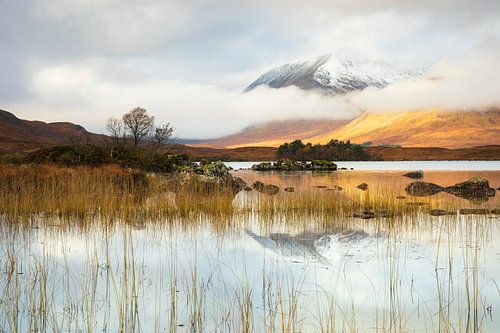 Silence in Rannoch Moor