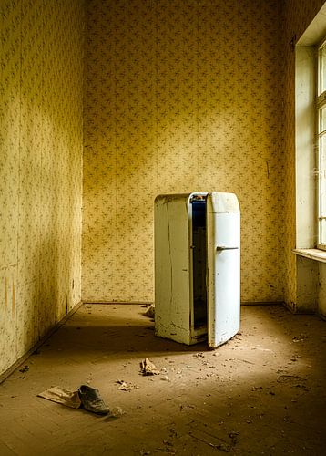 Eenzame schoen bij koelkast