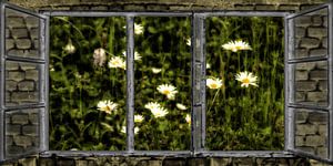 Fensterblick - Sommernacht