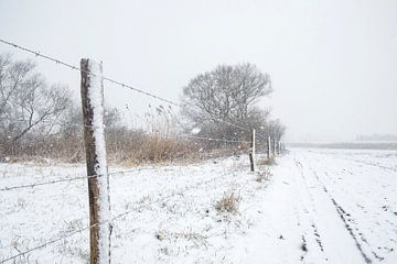 Winter landschap tijdens een vroege mistige ochtend van Sjoerd van der Wal