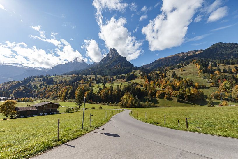 Beautiful autumn colors in the mountains of Switzerland by Menno Schaefer