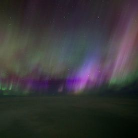 Aurora Borealis van Tom Kraaijenbrink