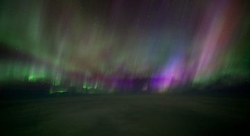 Aurora Borealis van Tom Kraaijenbrink