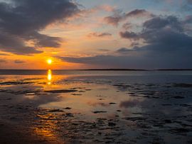 Wadden Sea at the North Sea at sunset by Animaflora PicsStock