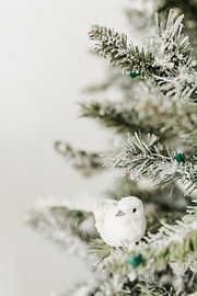 Een vogeltje tussen de kersttakken van Nienke van Denderen
