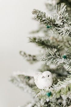 A little bird among the Christmas branches