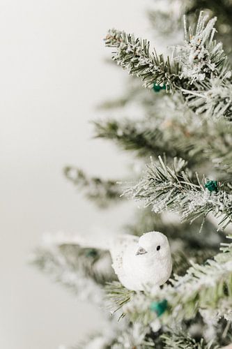Een vogeltje tussen de kersttakken