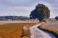 Herbstliche Stimmung in Bad Salzuflen IV