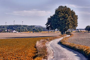 Herfstsfeer in Bad Salzuflen IV van Momentaufnahme | Marius Ahlers