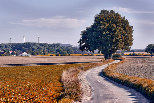 Herfstsfeer in Bad Salzuflen IV