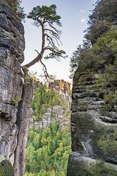Bastei rotsen in Saksisch Zwitserland van ManfredFotos