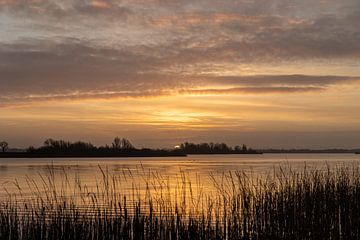 Sonnenaufgang Friesland Bergumermeer von Lydia