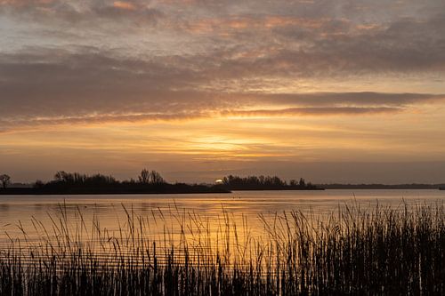 Zonsopkomst Friesland Bergumermeer
